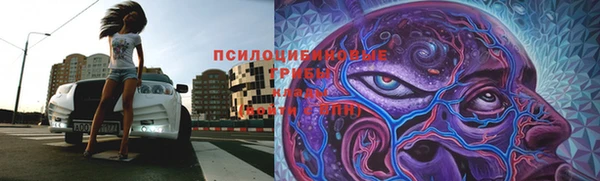 МДПВ Вяземский